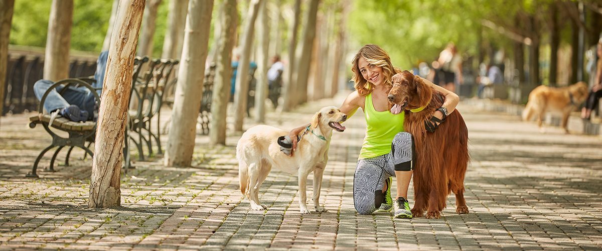 Portrait of Jessica Chipkin Klein in a park with two dogs