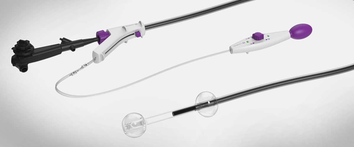 A DiLumen endoscope