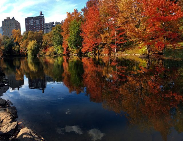Photo of colorful trees reflecting in a pond