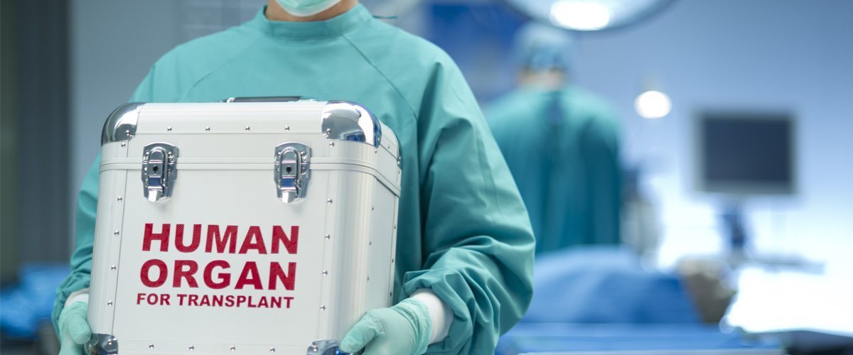 A medical container with a human organ inside being transported