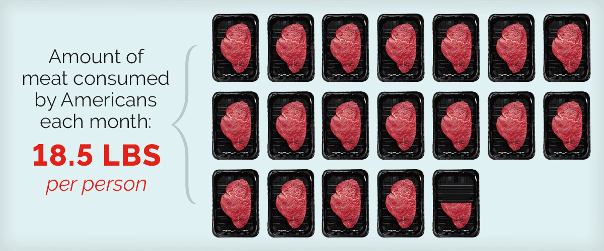 Infographic showing that Americans eat 18.5 lbs of meat per person each month