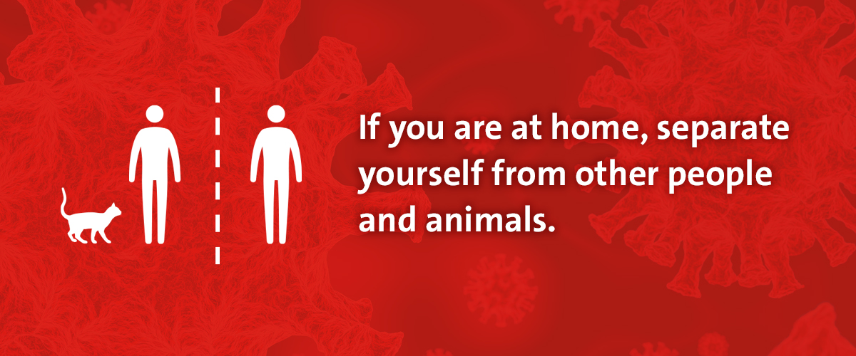 Slideshow explaining what to do if you think you've been exposed to coronavirus.