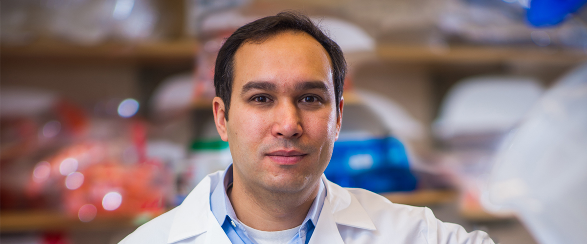 Dr. Adam Bass precision medicine