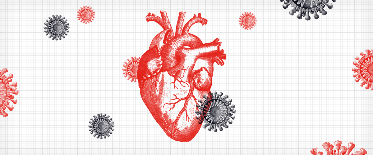illustration of coronavirus, which causes the disease COVID-19, and the heart